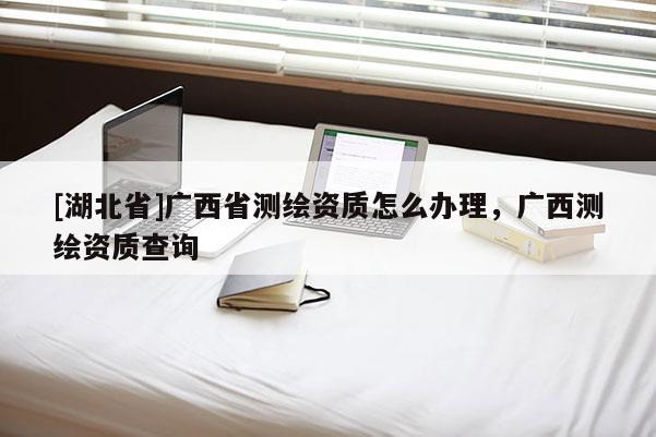 [湖北省]廣西省測繪資質怎么辦理，廣西測繪資質查詢