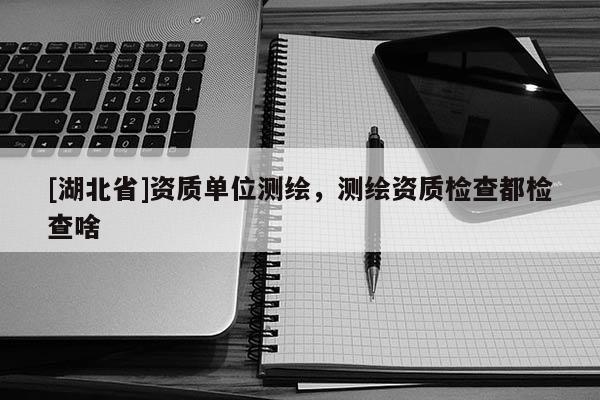 [湖北省]資質單位測繪，測繪資質檢查都檢查啥