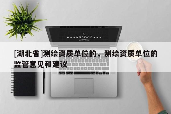 [湖北省]測繪資質單位的，測繪資質單位的監管意見和建議