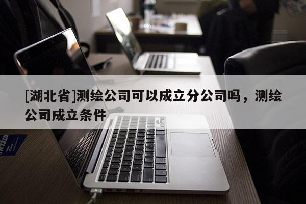 [湖北省]測繪公司可以成立分公司嗎，測繪公司成立條件