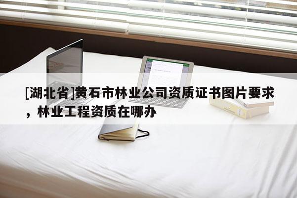 [湖北省]黃石市林業公司資質證書圖片要求，林業工程資質在哪辦